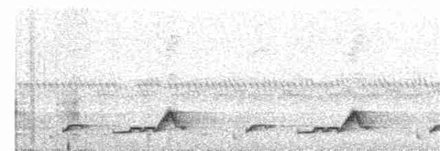 Schwarzkehl-Nachtschwalbe - ML34849241