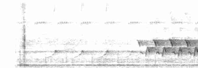 Каролинский крапивник - ML348512071