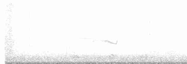 Band-winged Nightjar - ML348516391