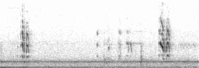 Roseate Tern - ML348524001
