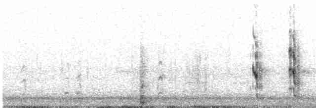 Roseate Tern - ML348524041