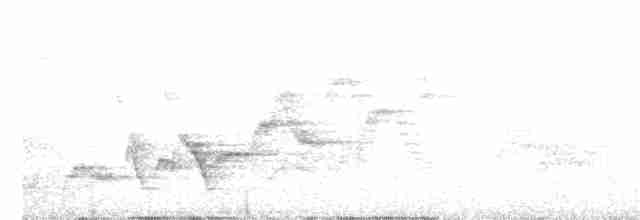 Дрізд-короткодзьоб Cвенсона - ML348536391