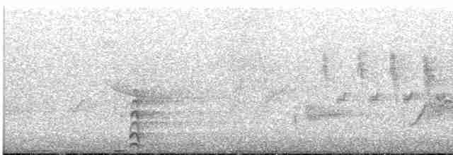 Common Gallinule - ML348567021