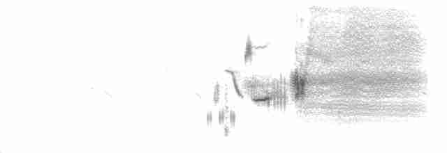 Приморская овсянка-барсучок (maritima/macgillivraii) - ML348625001