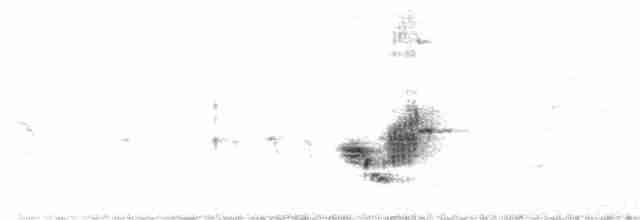 Rufous-tailed Lark - ML34862561