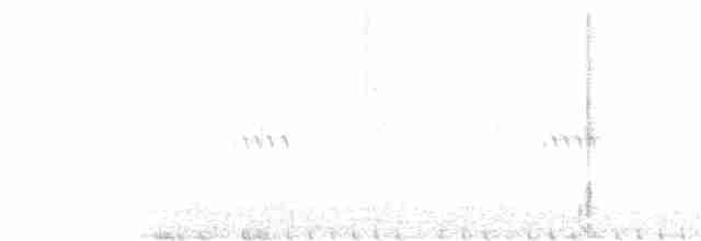 Batı Amerika Sinekkapanı (occidentalis/hellmayri) - ML348646671