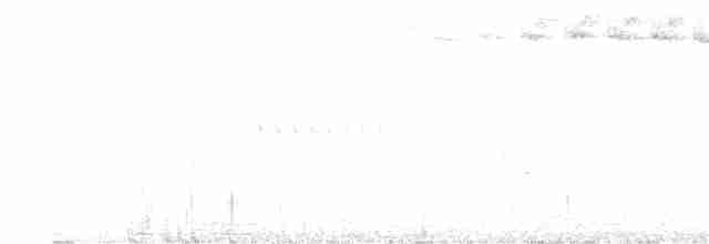 Bicknell Bülbül Ardıcı - ML348659591
