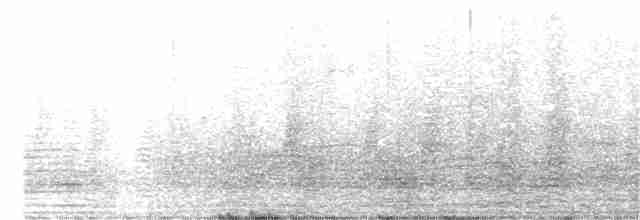 Kara Boyunlu Orman Leyleği - ML348738621