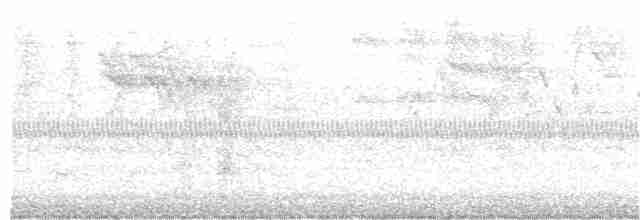 Соловьиный сверчок - ML348752621