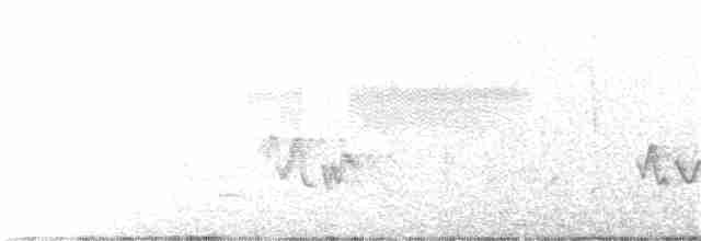 Щеврик прерієвий - ML348755371