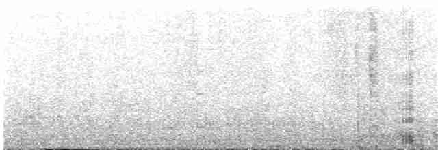 Antarktissturmvogel - ML34876001