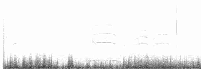 jeřáb černokrký - ML348797471