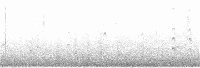 Common Tern - ML348797521
