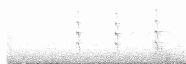 Common Tern - ML348820741