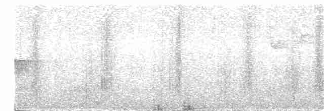 Длинноклювая нектарница - ML34891981