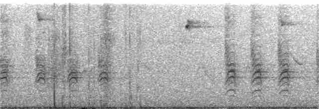 Kara Tepeli Baştankara - ML348930381
