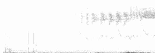 雑種 キンバネアメリカムシクイ ｘ アオバネアメリカムシクイ（F2戻し交配） - ML349077561