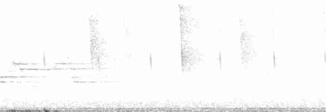 Дрізд-короткодзьоб плямистоволий - ML349113981