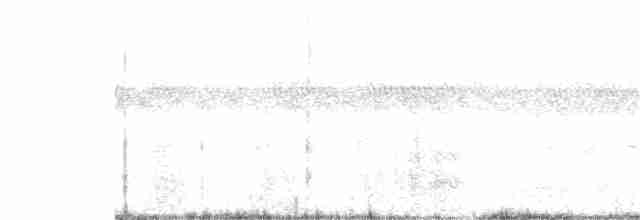 Серогрудая иглохвостка - ML349126121