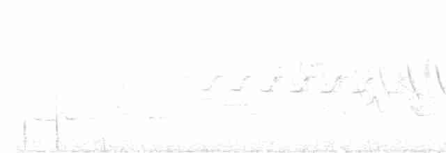 tyranovec olšový - ML349128501