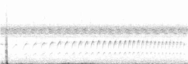 Graubrust-Dickichtschlüpfer - ML349148121