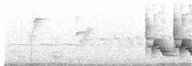 Каролинский крапивник - ML349185281