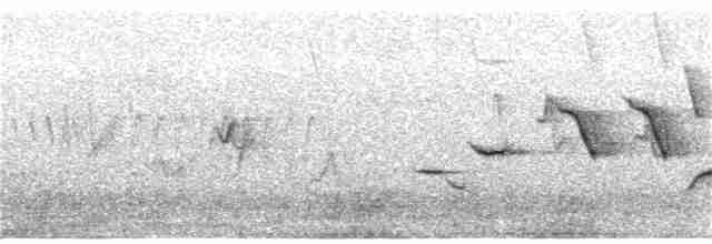 Bruant fauve (groupe schistacea) - ML349188701
