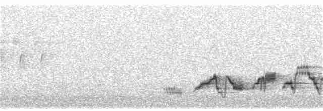 Дрізд-короткодзьоб Cвенсона - ML349252601