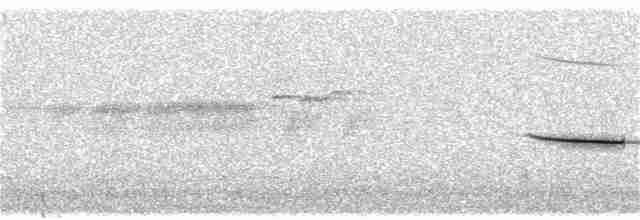 Дрізд-короткодзьоб плямистоволий - ML349253081