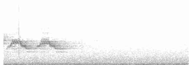 Дрізд-короткодзьоб бурий - ML349263891