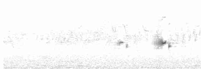 Сычуаньская пестрогрудка - ML349286501