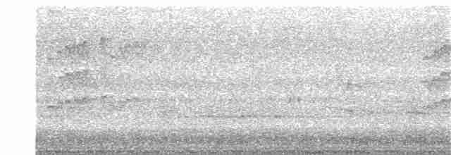 Swinhoe's White-eye - ML349305621