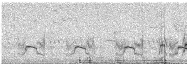 Little Ringed Plover - ML349315201