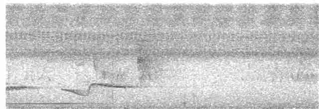 White-necked Thrush - ML349553301