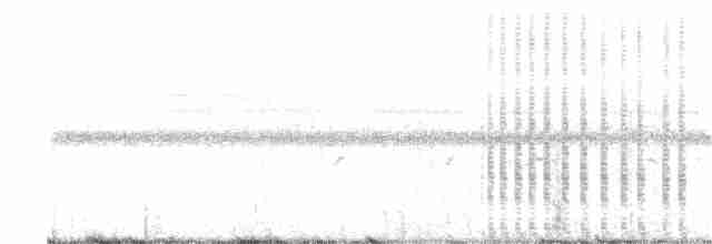 karančo jižní (ssp. cheriway) - ML349647791