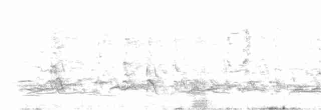 Tasmanya Karabatağı - ML349736791