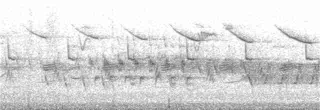 Обыкновенная горихвостка (phoenicurus) - ML349744081