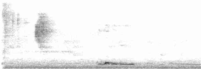 Géopélie à nuque rousse - ML349747041
