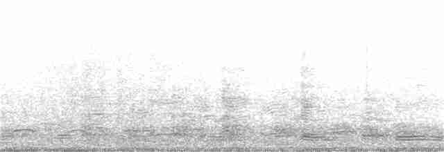 Молуккский ибис - ML349773051