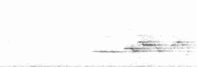 Дрізд-короткодзьоб плямистоволий - ML349816371