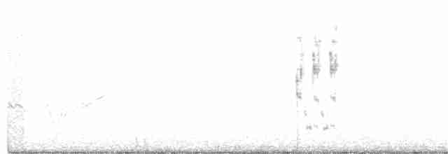 Great Gray Shrike (Arabian) - ML349836451