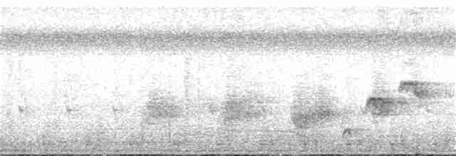 Saipan Reed Warbler - ML349898881