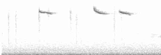 Алленов колибри - ML349914881