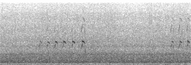 Bec-d'ibis tibétain - ML349916941