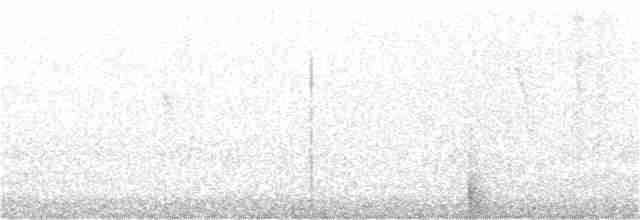 Серогрудый питуи - ML349921471