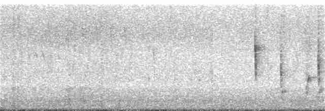 Troglodyte des marais - ML349924821