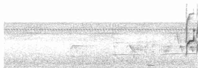 Güneyli Bıyıksız Tiranulet - ML349962391