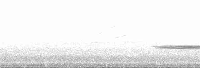 Turuncu Ardıç - ML349972191