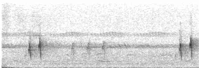 Camaroptère à tête grise (groupe brachyura) - ML349980011