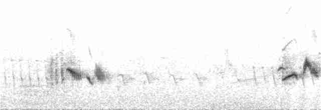 חמריה חלודת-זנב - ML349985521